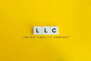 single-member llc's