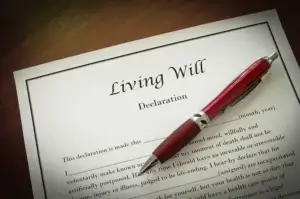 living will estate planning Cottage Hills, IL